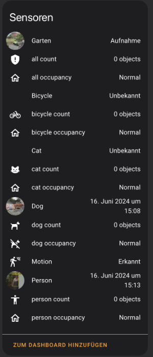 Frigate Sensoren.jpg